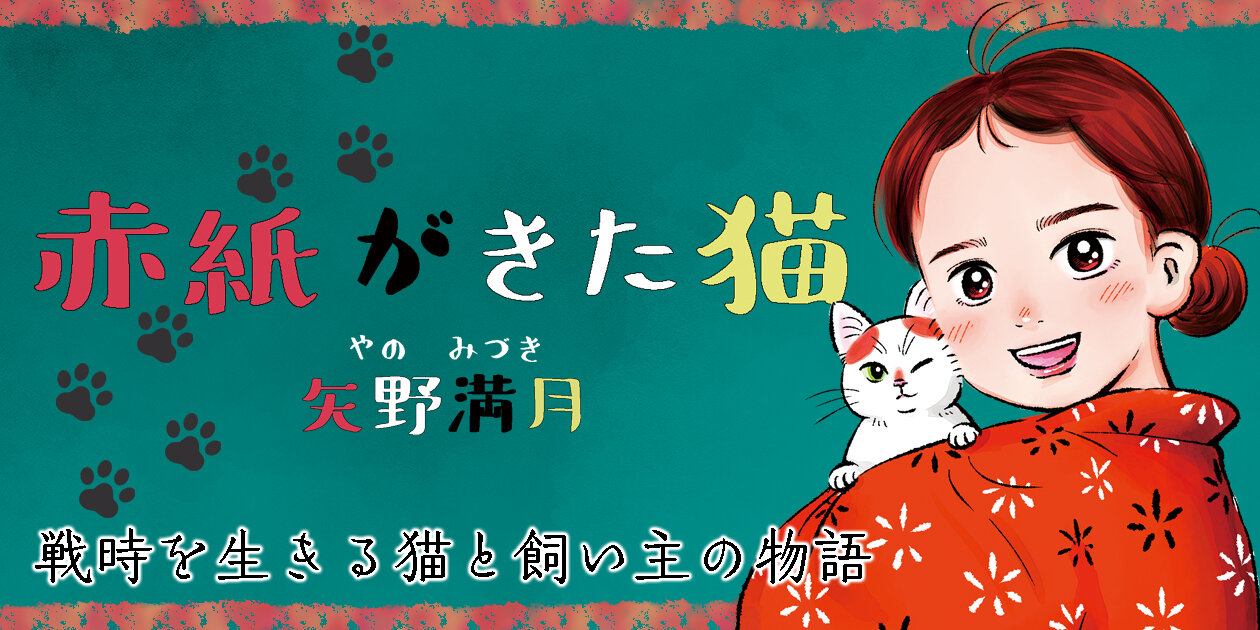 赤紙がきた猫